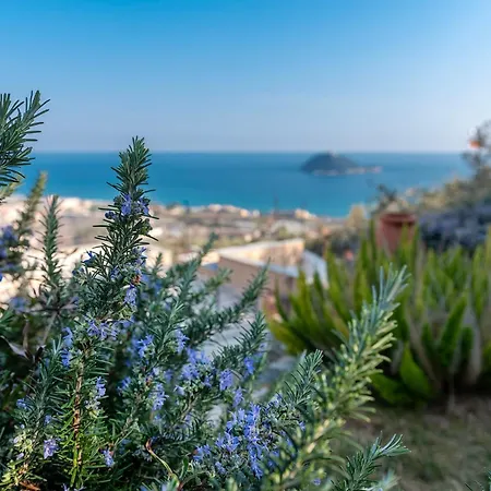 Вилла Anima Mediterranea