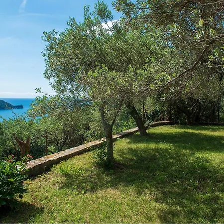 Villa Anima Mediterranea *