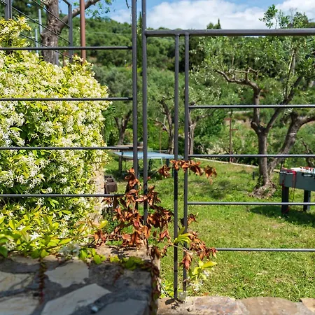 Villa Anima Mediterranea