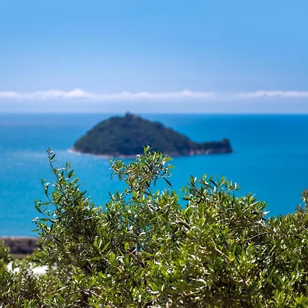 Anima Mediterranea Альбенга