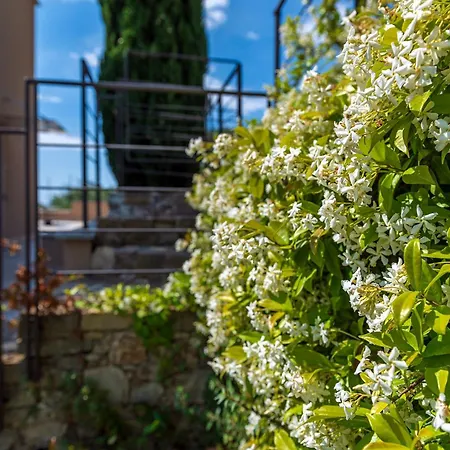 Anima Mediterranea
